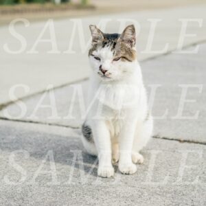 【sample】test112-001