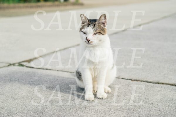 【sample】test112-001