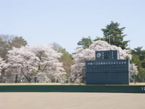 長野の春。オールドデジカメと歩く桜の散歩道。