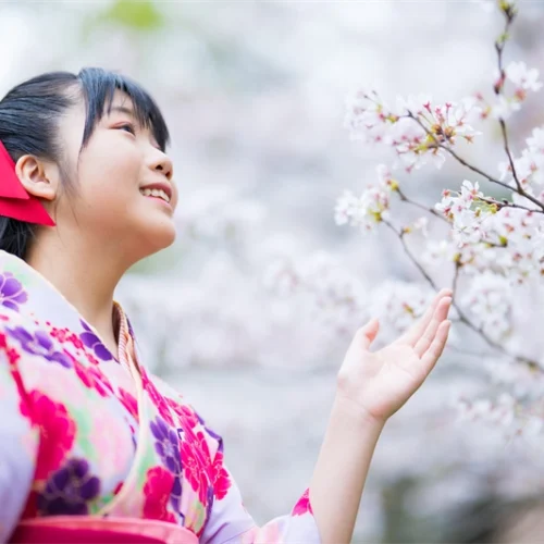 Z9P_2131_result Z9P_2131_result